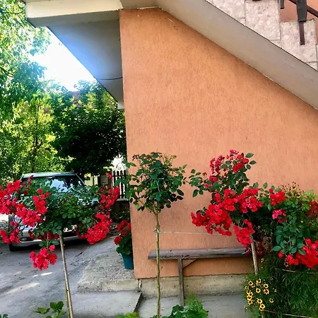Apartman Rosic Arilje Exterior photo