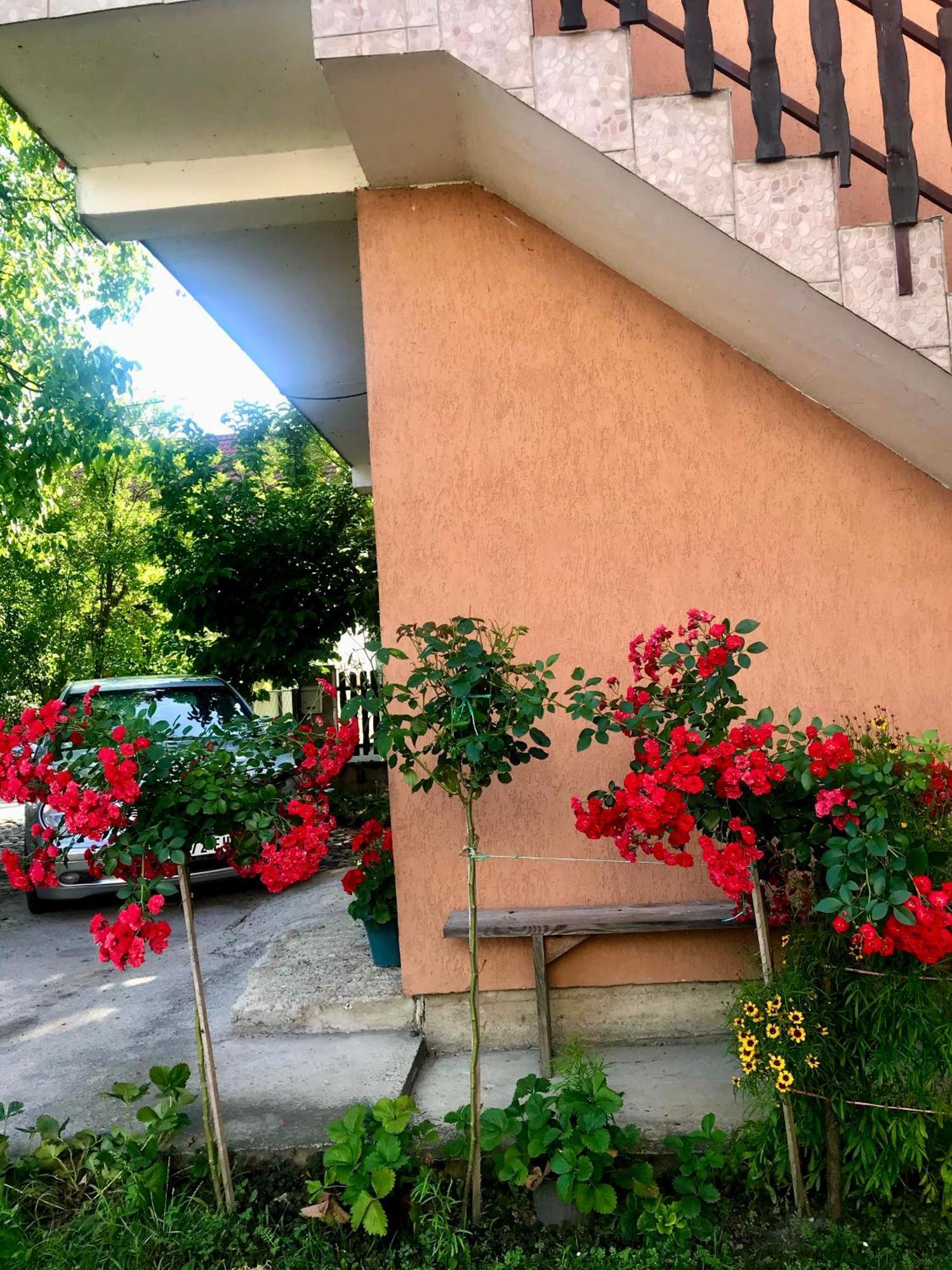 Rosic Appartamento